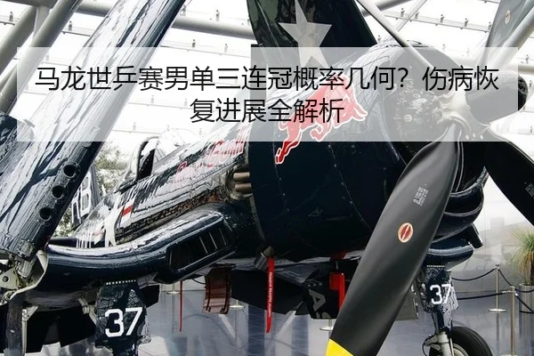 ma-long-shi-ping-sai-nan-dan-san-lian-guan-gai-lv-ji-he-shang-bing-hui-fu-jin-zhan-quan-jie-xi-2-924.jpg