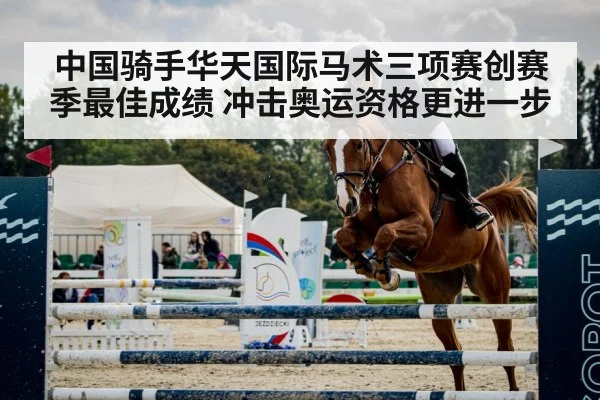 show jumping horse